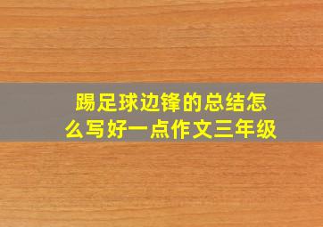 踢足球边锋的总结怎么写好一点作文三年级