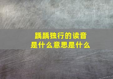 踽踽独行的读音是什么意思是什么