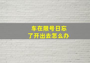 车在限号日忘了开出去怎么办