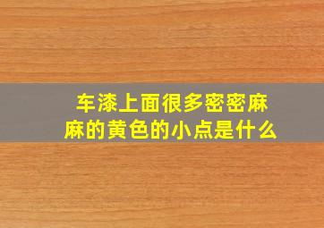 车漆上面很多密密麻麻的黄色的小点是什么