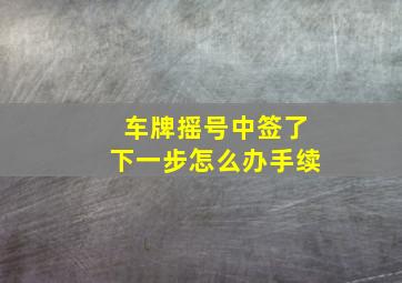 车牌摇号中签了下一步怎么办手续