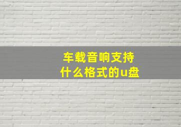 车载音响支持什么格式的u盘