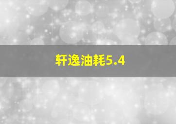 轩逸油耗5.4