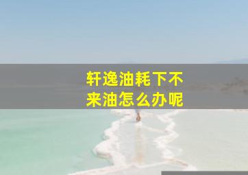 轩逸油耗下不来油怎么办呢