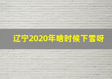 辽宁2020年啥时候下雪呀