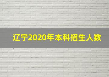 辽宁2020年本科招生人数