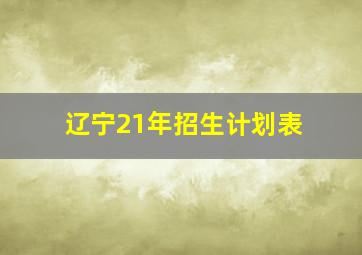 辽宁21年招生计划表