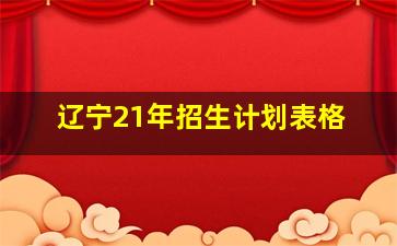 辽宁21年招生计划表格