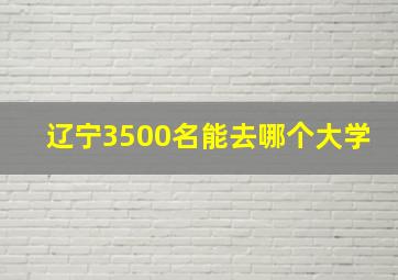 辽宁3500名能去哪个大学