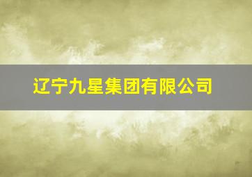 辽宁九星集团有限公司