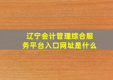 辽宁会计管理综合服务平台入口网址是什么