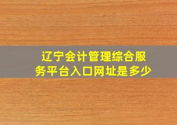 辽宁会计管理综合服务平台入口网址是多少