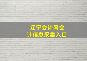 辽宁会计网会计信息采集入口