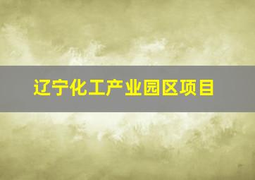 辽宁化工产业园区项目