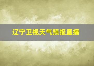 辽宁卫视天气预报直播