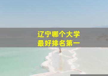 辽宁哪个大学最好排名第一