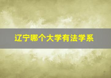 辽宁哪个大学有法学系