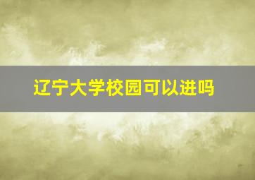 辽宁大学校园可以进吗