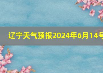 辽宁天气预报2024年6月14号