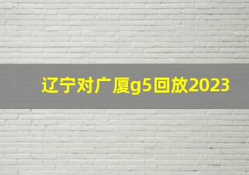 辽宁对广厦g5回放2023