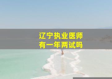 辽宁执业医师有一年两试吗