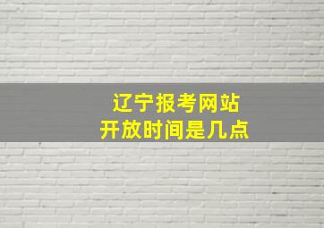 辽宁报考网站开放时间是几点