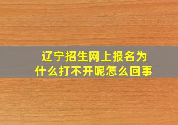 辽宁招生网上报名为什么打不开呢怎么回事