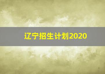 辽宁招生计划2020