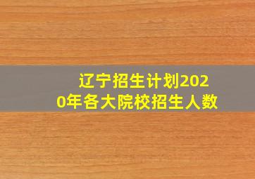 辽宁招生计划2020年各大院校招生人数