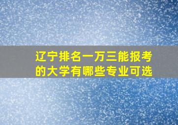 辽宁排名一万三能报考的大学有哪些专业可选