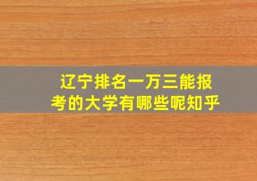 辽宁排名一万三能报考的大学有哪些呢知乎