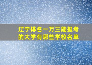 辽宁排名一万三能报考的大学有哪些学校名单