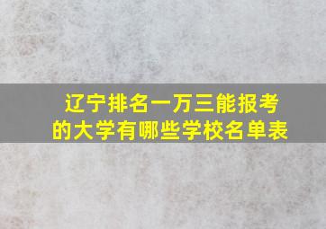 辽宁排名一万三能报考的大学有哪些学校名单表