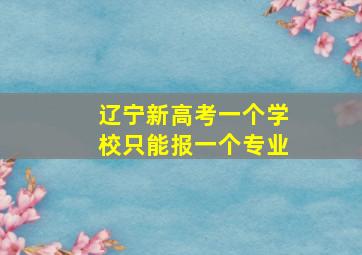 辽宁新高考一个学校只能报一个专业