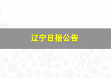 辽宁日报公告