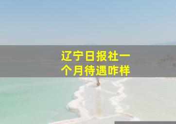 辽宁日报社一个月待遇咋样