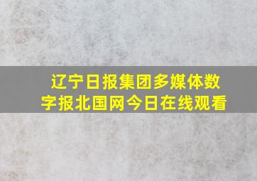 辽宁日报集团多媒体数字报北国网今日在线观看