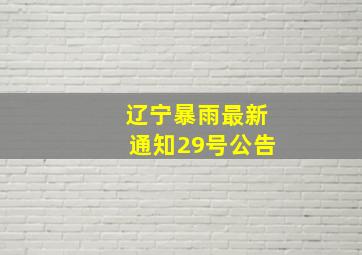 辽宁暴雨最新通知29号公告