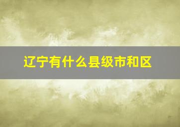 辽宁有什么县级市和区