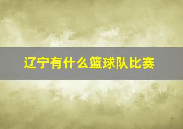 辽宁有什么篮球队比赛