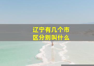 辽宁有几个市区分别叫什么