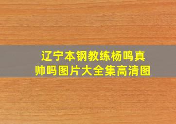 辽宁本钢教练杨鸣真帅吗图片大全集高清图