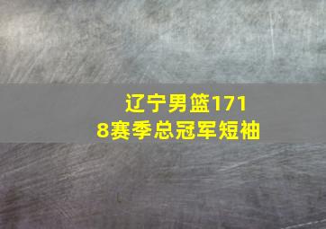 辽宁男篮1718赛季总冠军短袖