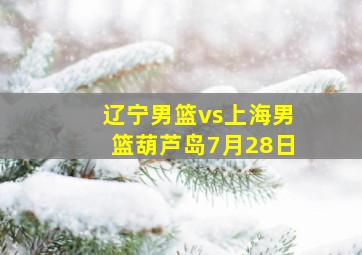 辽宁男篮vs上海男篮葫芦岛7月28日