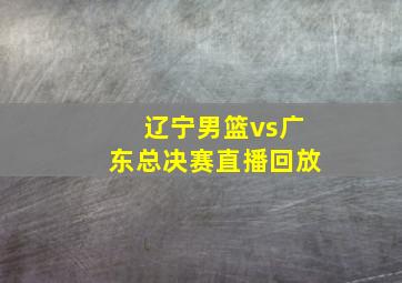 辽宁男篮vs广东总决赛直播回放