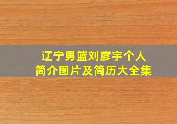 辽宁男篮刘彦宇个人简介图片及简历大全集