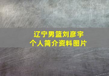 辽宁男篮刘彦宇个人简介资料图片