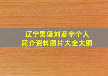 辽宁男篮刘彦宇个人简介资料图片大全大图