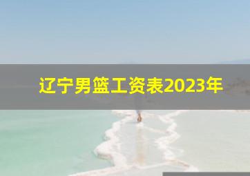 辽宁男篮工资表2023年