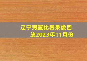 辽宁男篮比赛录像回放2023年11月份